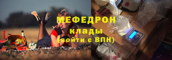 стаф Аркадак