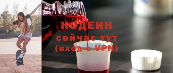 гидра Арсеньев