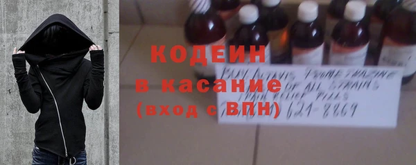 стаф Аркадак