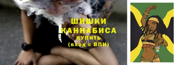гидра Арсеньев