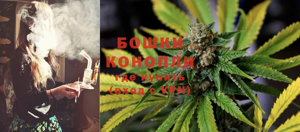 стаф Аркадак