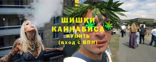 гидра Арсеньев