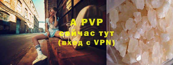 индика Армянск