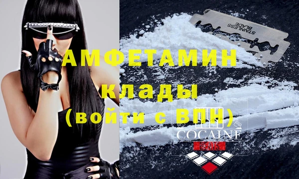 стаф Аркадак