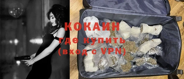 стаф Аркадак