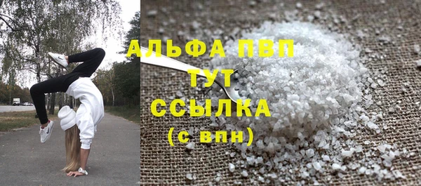 индика Армянск