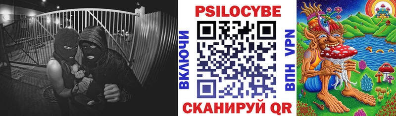 kraken   Красный Кут  Галлюциногенные грибы мицелий 